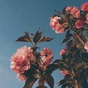 Meet your Posher, Michaela